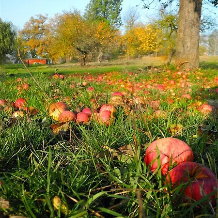 Romantik Rittergut 3*